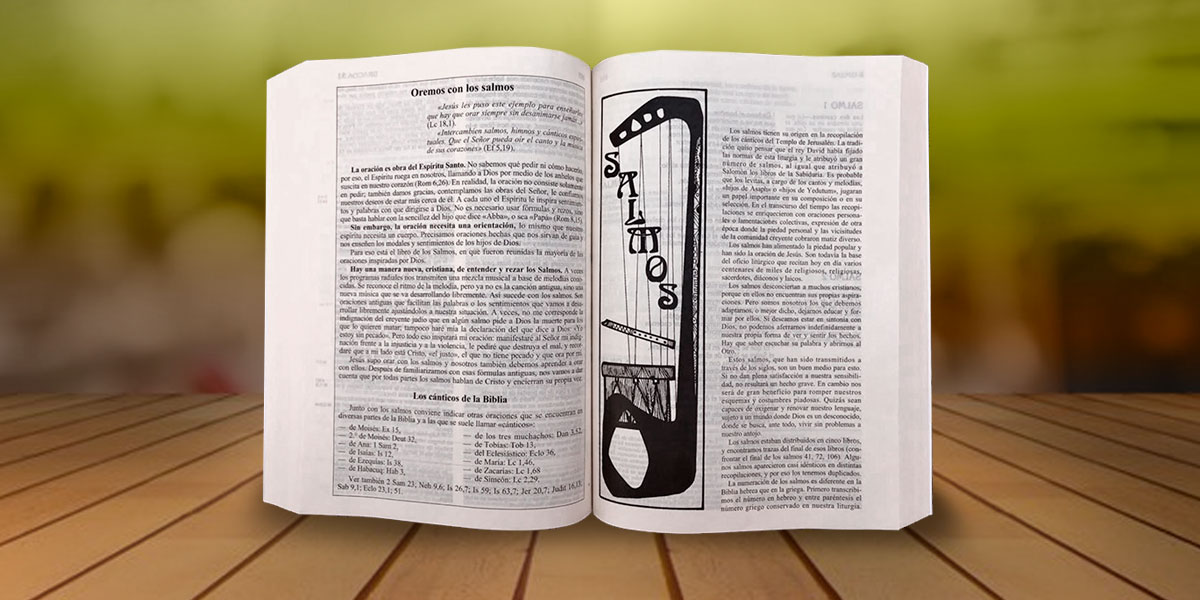 Sugerencia para los Lectores