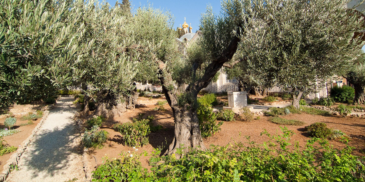 Nuova scoperta archeologica al Getsemani