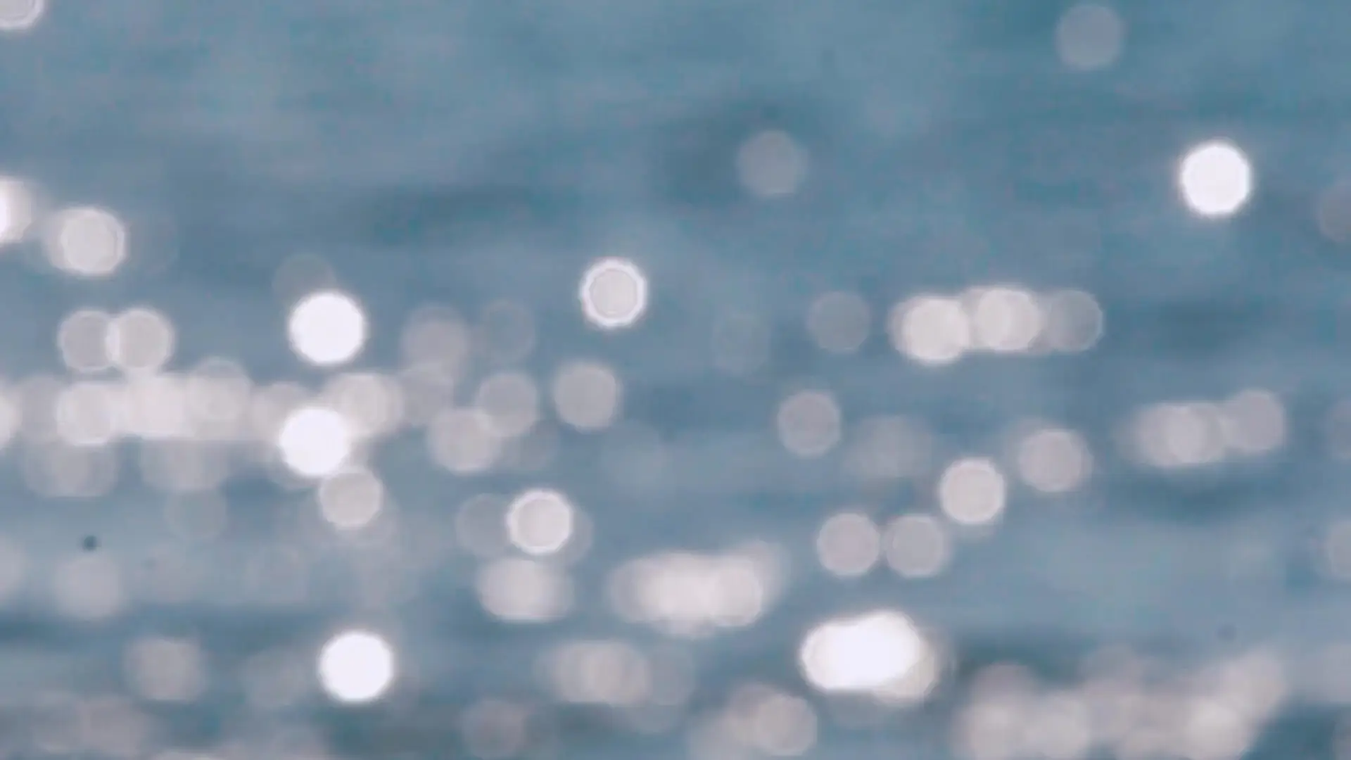 Il cammino del discepolo